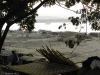 20120126_mandalay_vie_au_bord_du_fleuve_irrawaddy_105